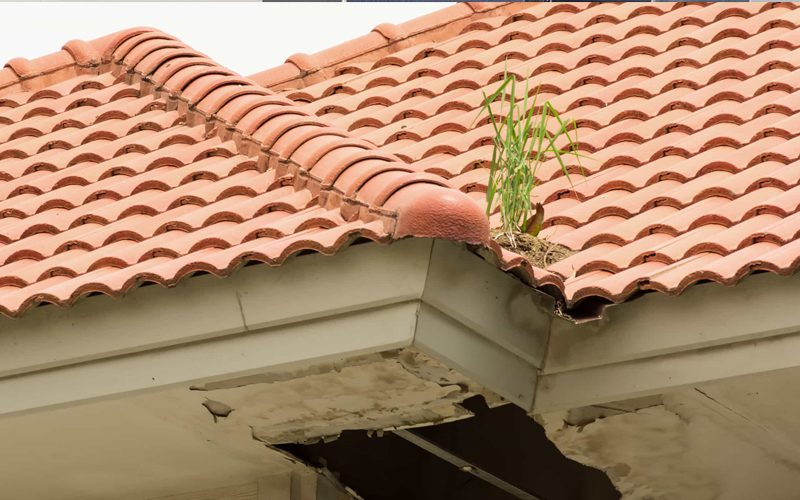 roof-leakage-proseal-1