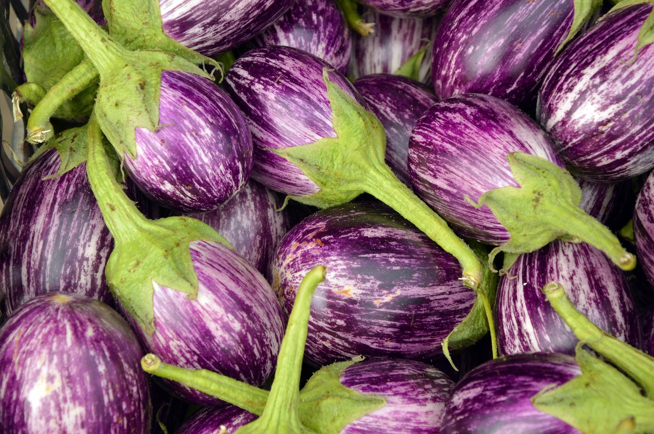 Eggplant, fruit, vegetables — Atomic Wallet: Your Ultimate Guide to Crypto Management