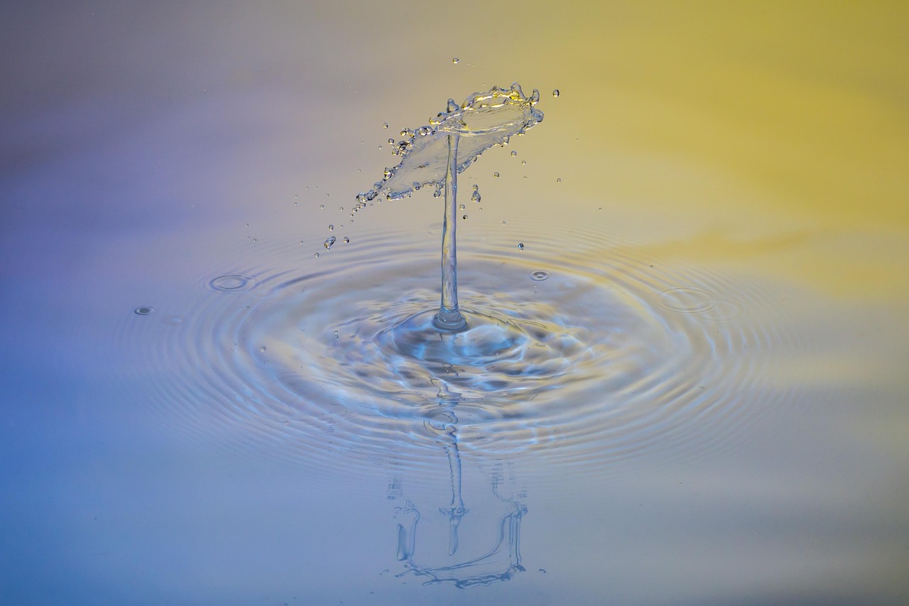 Drops, water, nature — Experience the Benefits of Ledger Live for Crypto Users