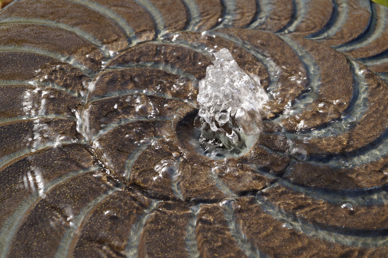 Fountain, nature, water — Experience the Future of Crypto with Ledger Live
