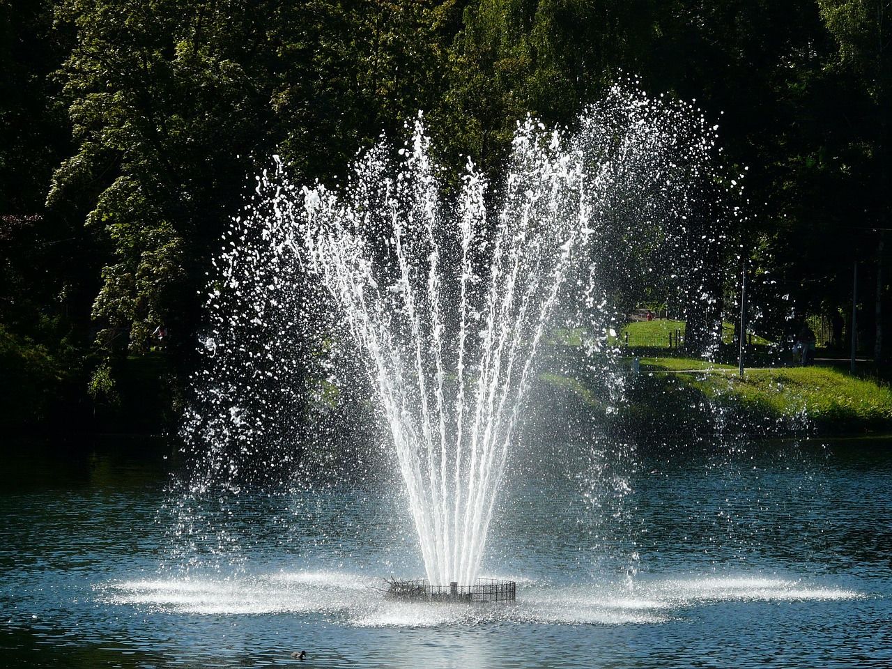 Fountain, nature, water — Harnessing the Power of Bscscan for Crypto Traders