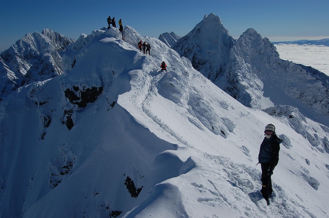 Scratches, the features of the face in the winter, scratches tatras — Maximize Your Crypto Potential with Raydium Swap