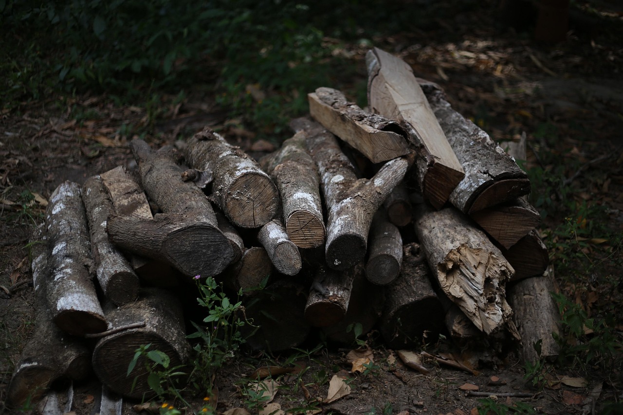 Firewood, wood, coal — Unleashing the Full Potential of Jupiter Swap in Trading