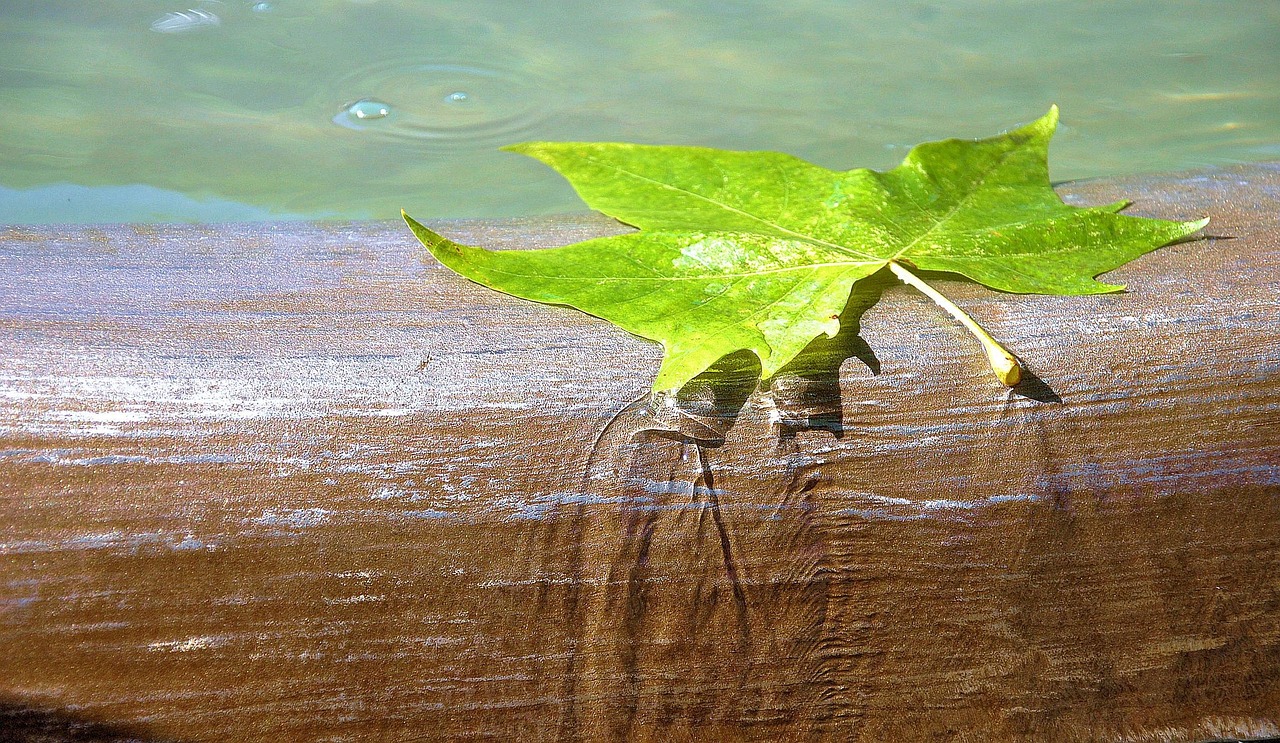 Water, brunne, leaf — Unleashing the Full Power of Jupiter Swap